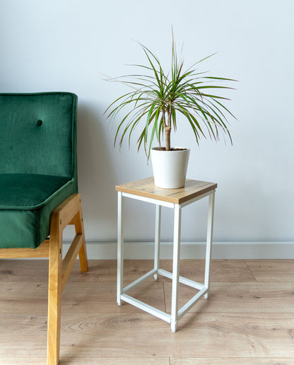 Blumenständer Metall mit Ablage – Pflanzenständer für Wohnzimmer und Flur