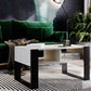 Couchtisch KORA 92 x 53,6 x 45 cm